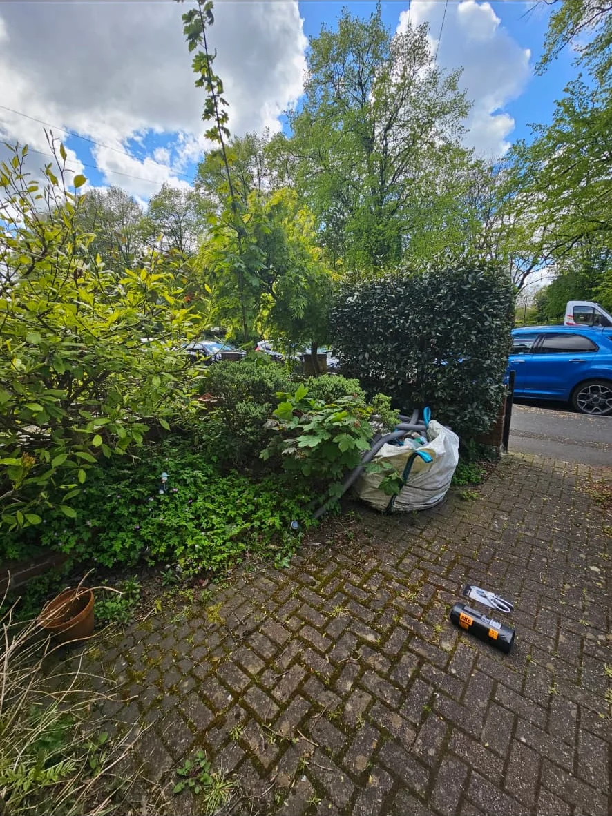 Overgrown shrubs and weeds spreading across a block paved driveway before clearance